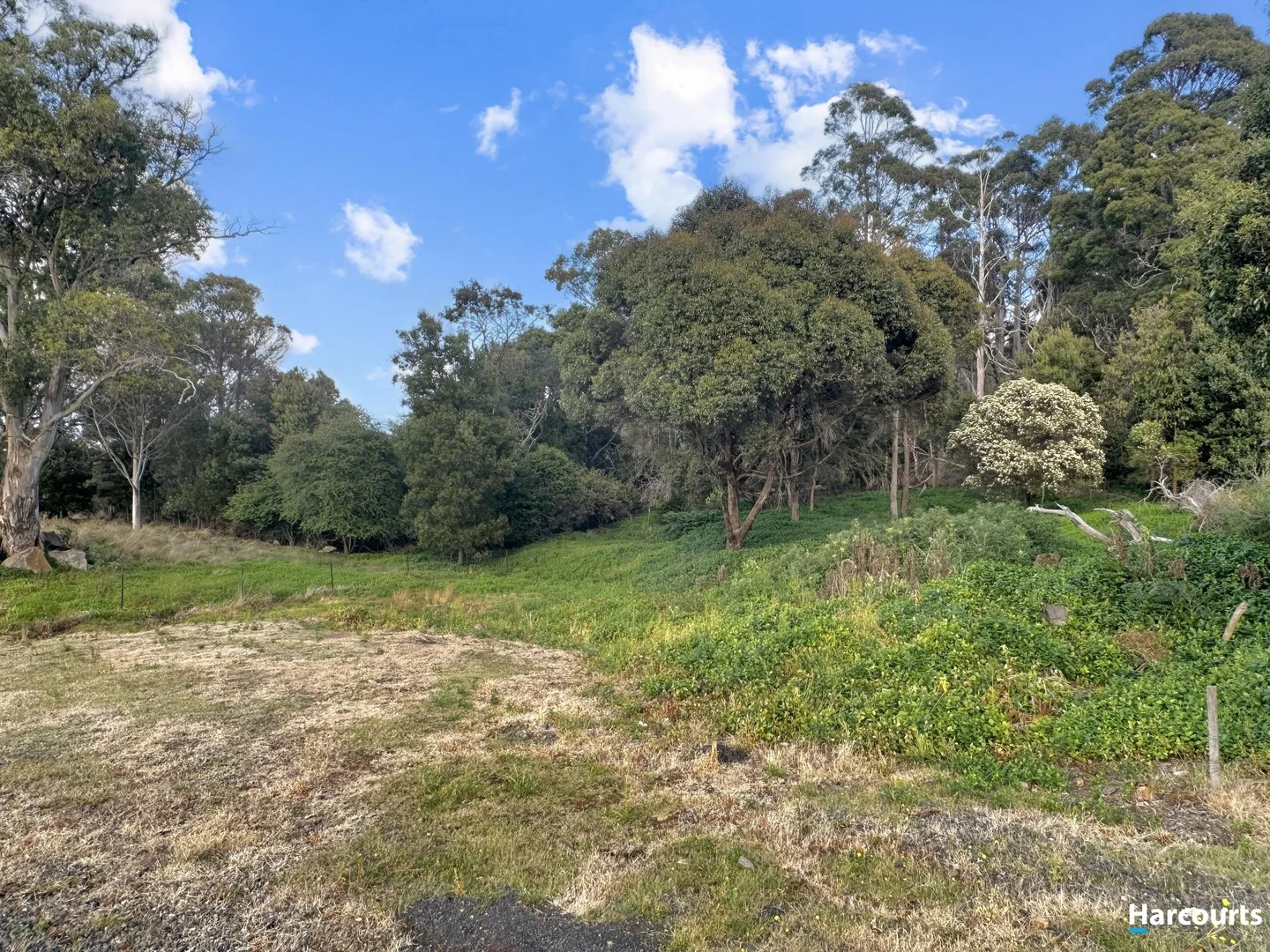 29 John Street, Cornwall TAS 7215