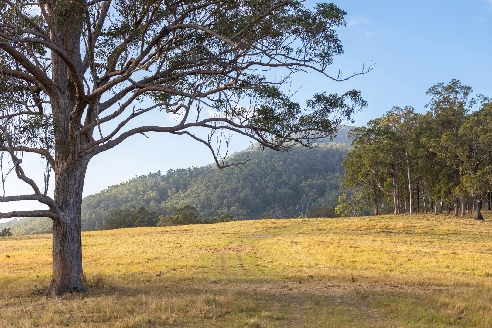 Additional image 11 of 152 Red Gully Road, Burrell Creek NSW 2429