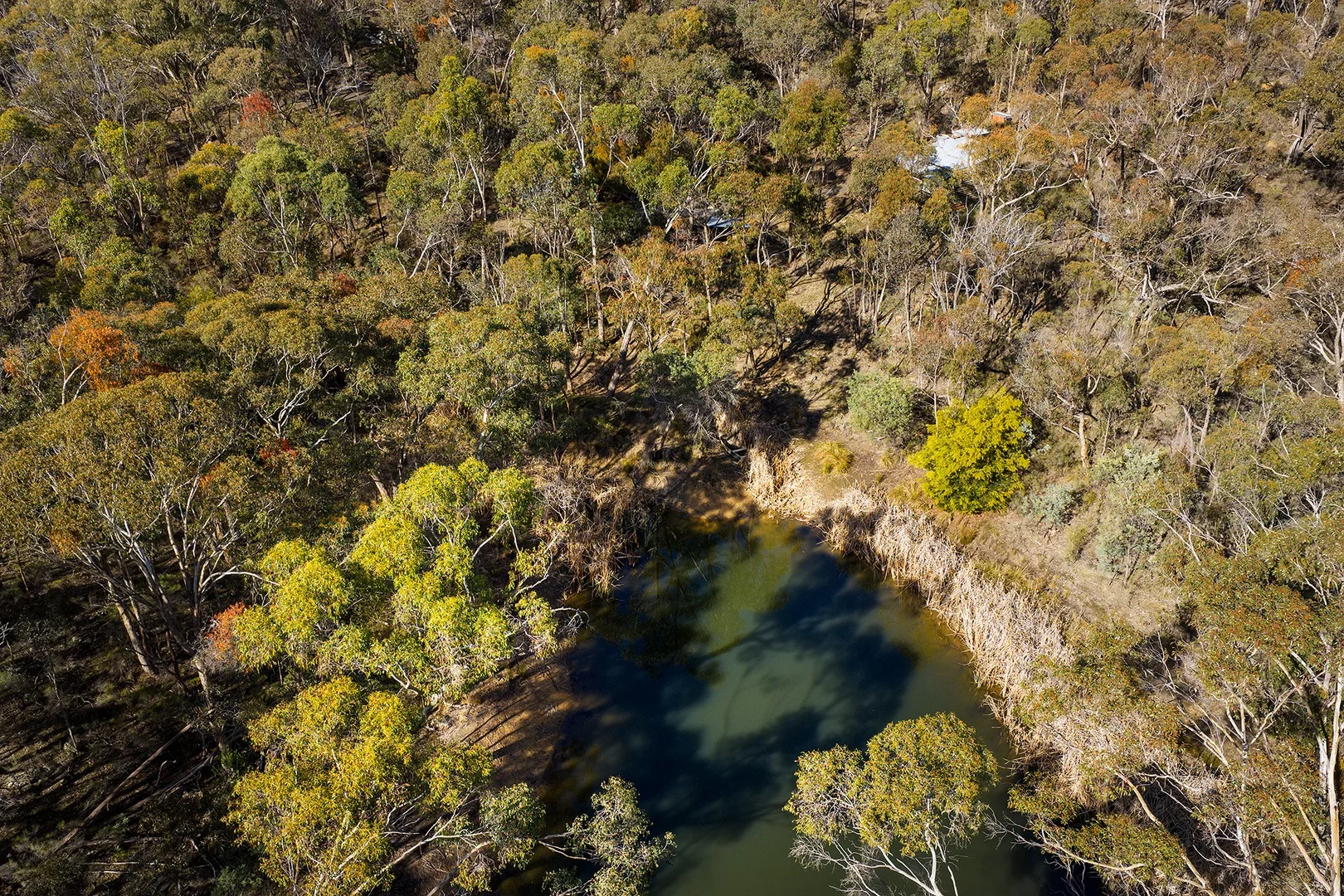 132 Nalya Court, Drummond North VIC 3446