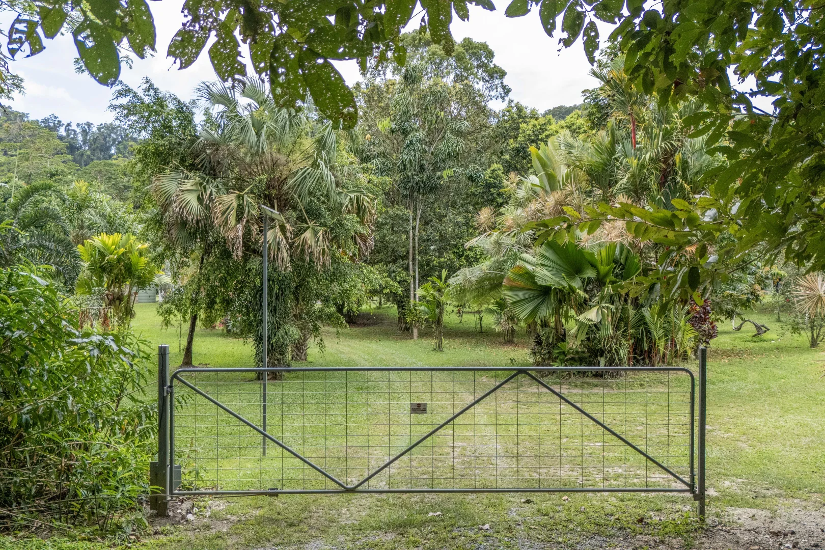 Additional image 34 of 516 Whyanbeel Road, Whyanbeel, Mossman QLD 4873
