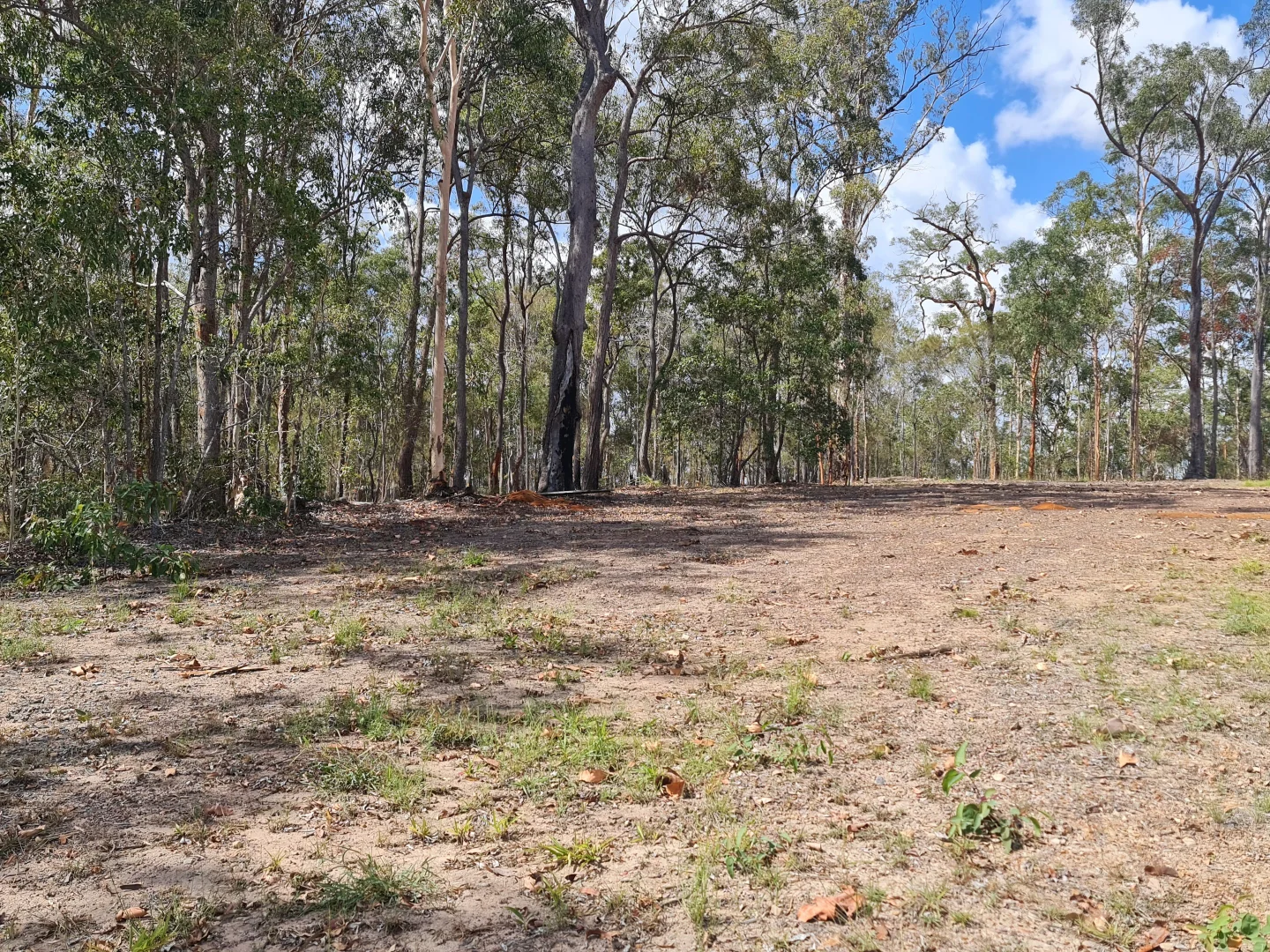 Additional image 9 of 4185 Maryborough Biggenden Road, Aramara QLD 4620