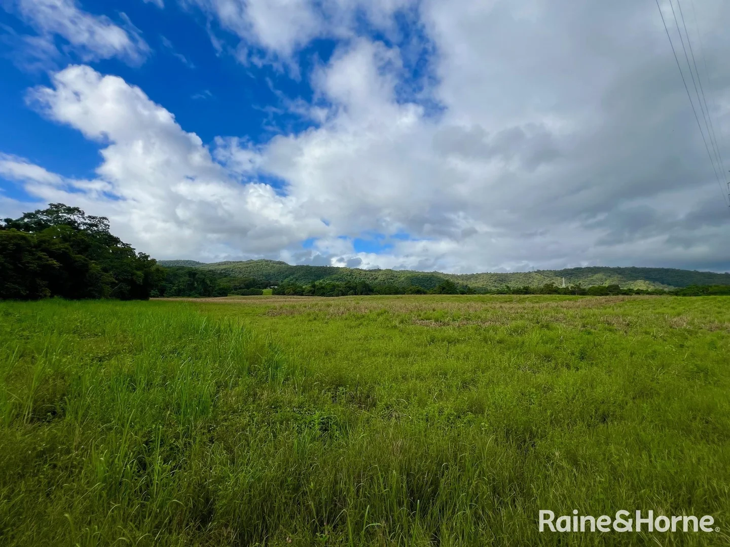 Additional image 22 of 217 Cassowary Road, Cassowary QLD 4873