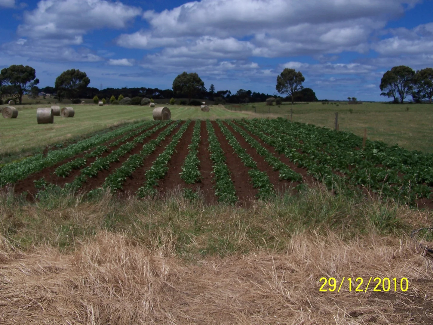 Additional image 12 of Cyathea Road, Forest TAS 7330