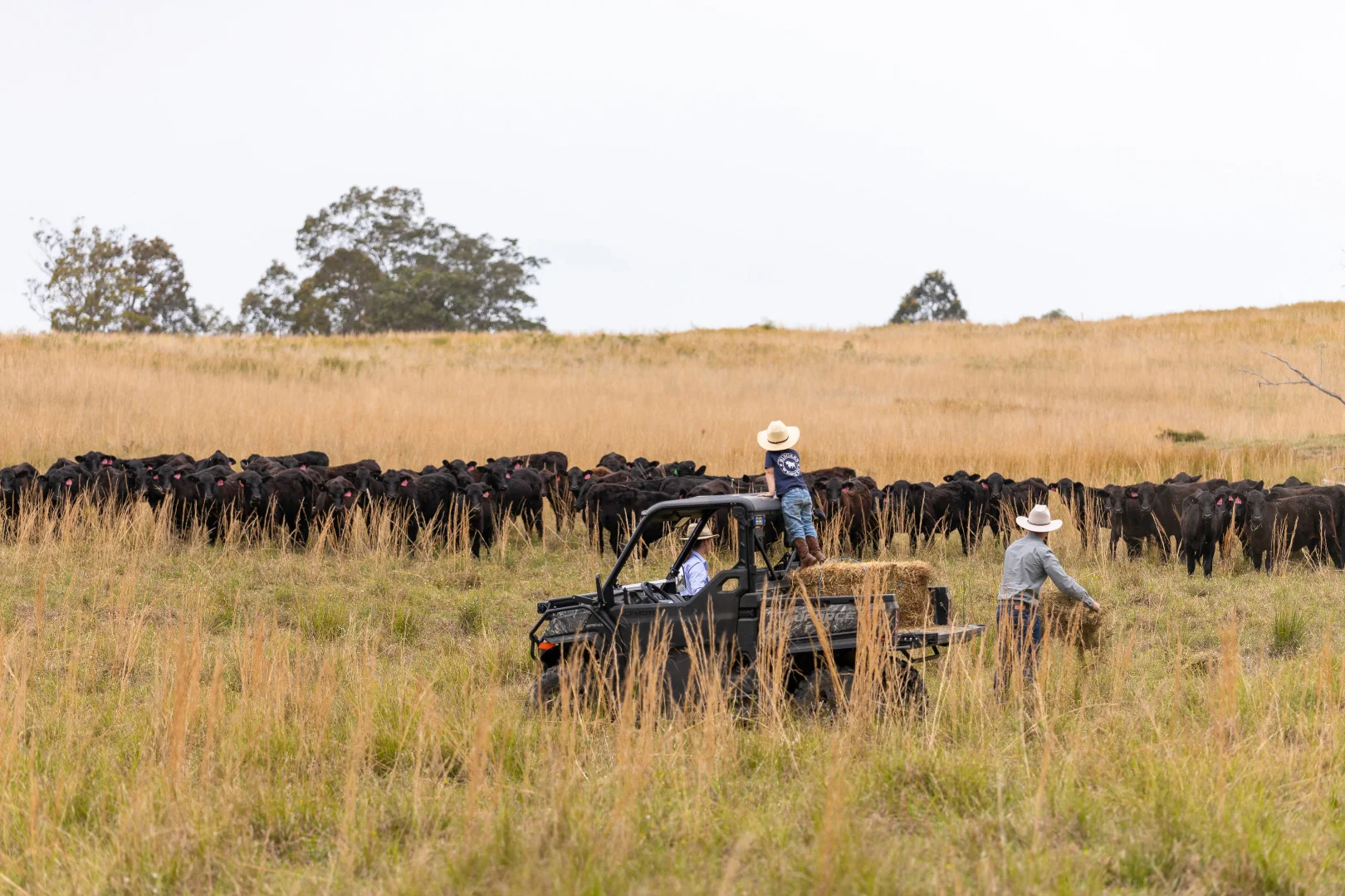 Additional image 12 of 152 Red Gully Road, Burrell Creek NSW 2429