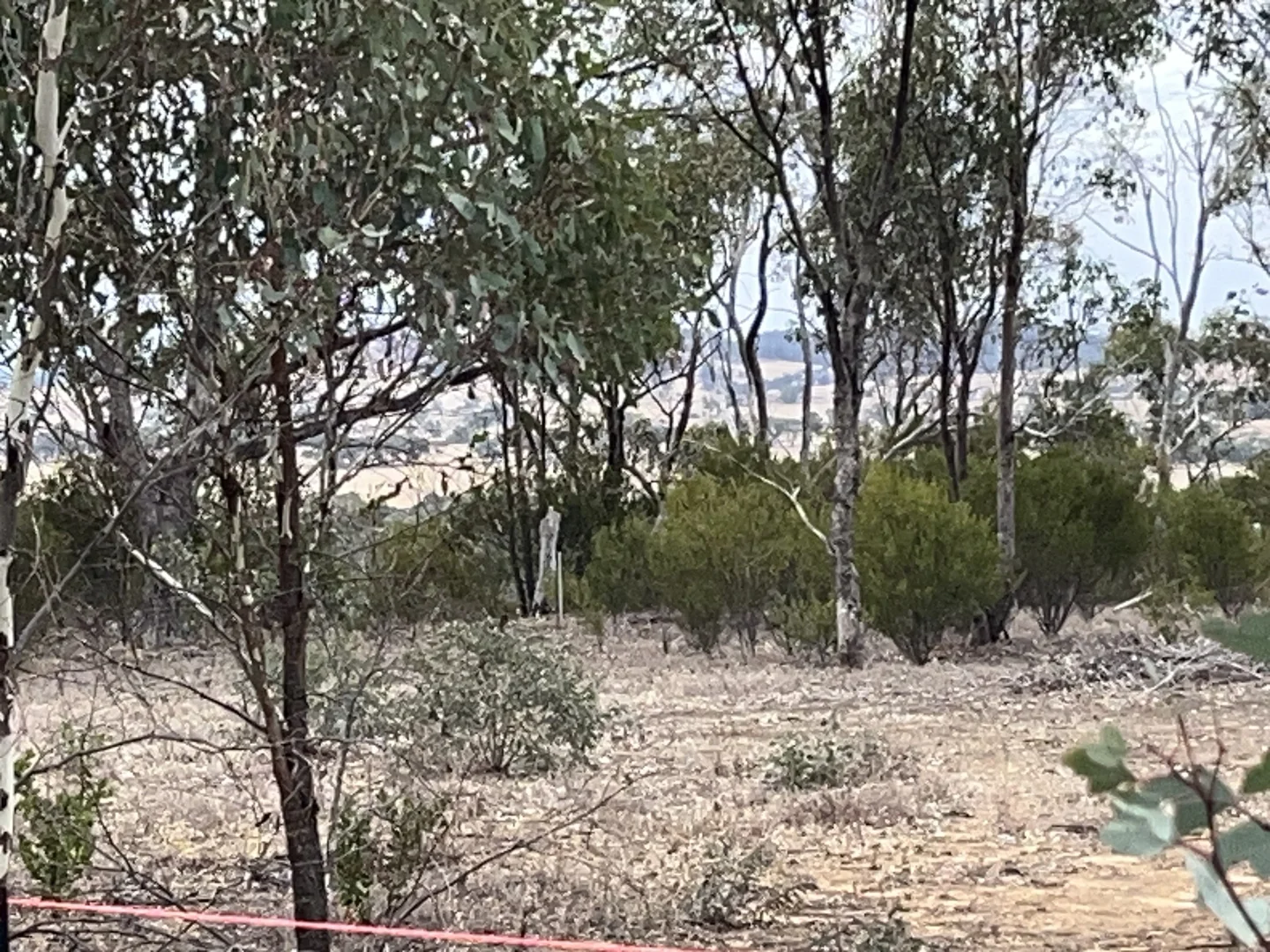 Additional image 6 of 26a Mount Tarrengower Road, Maldon VIC 3463