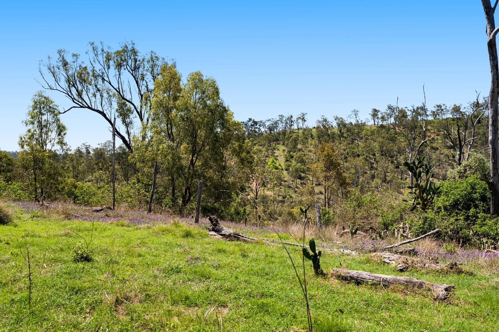 Additional image 13 of 225 Wild Deer Drive, Blackbutt QLD 4314