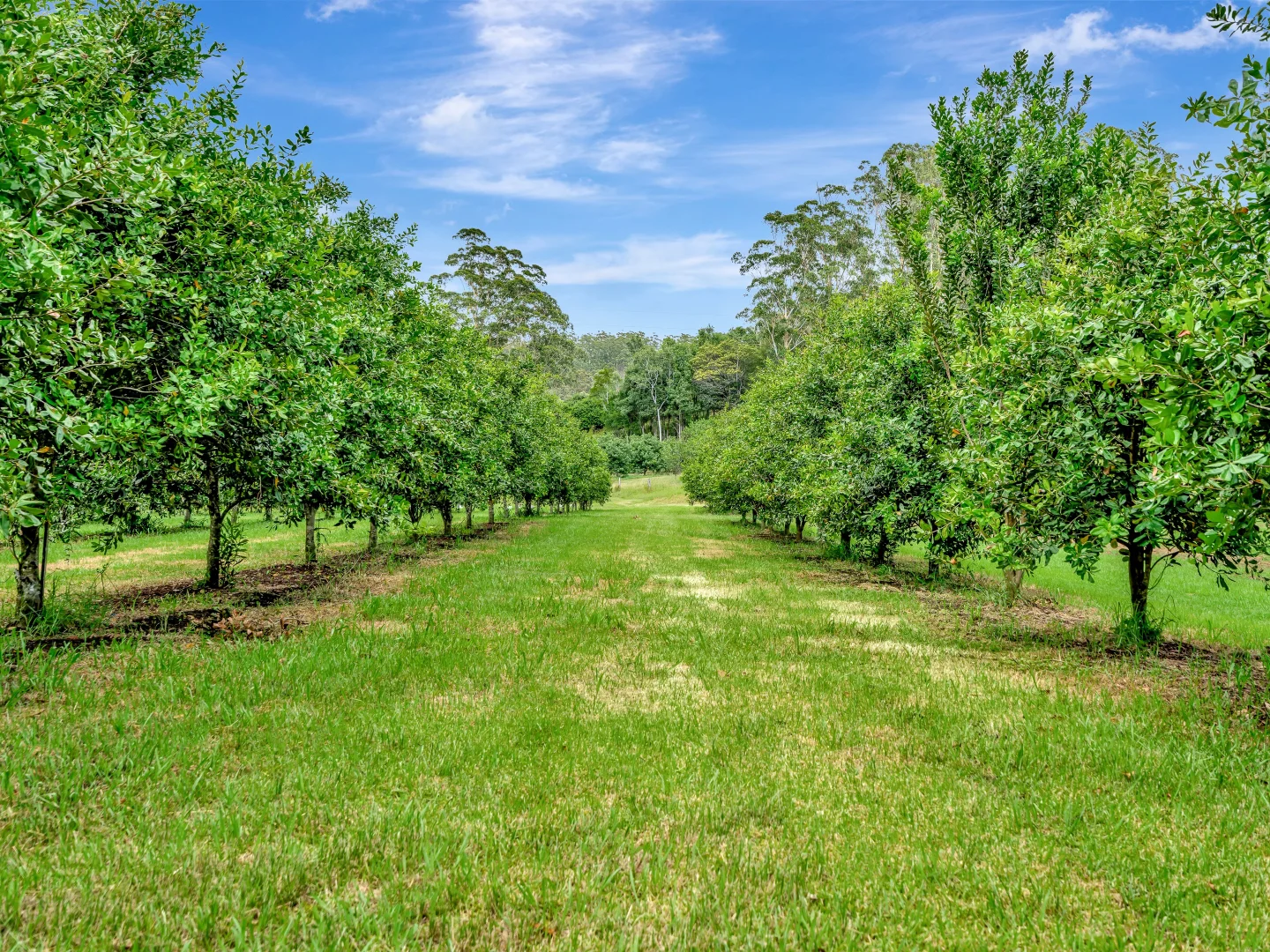 Additional image 16 of 73 Logans Road, Valla NSW 2448