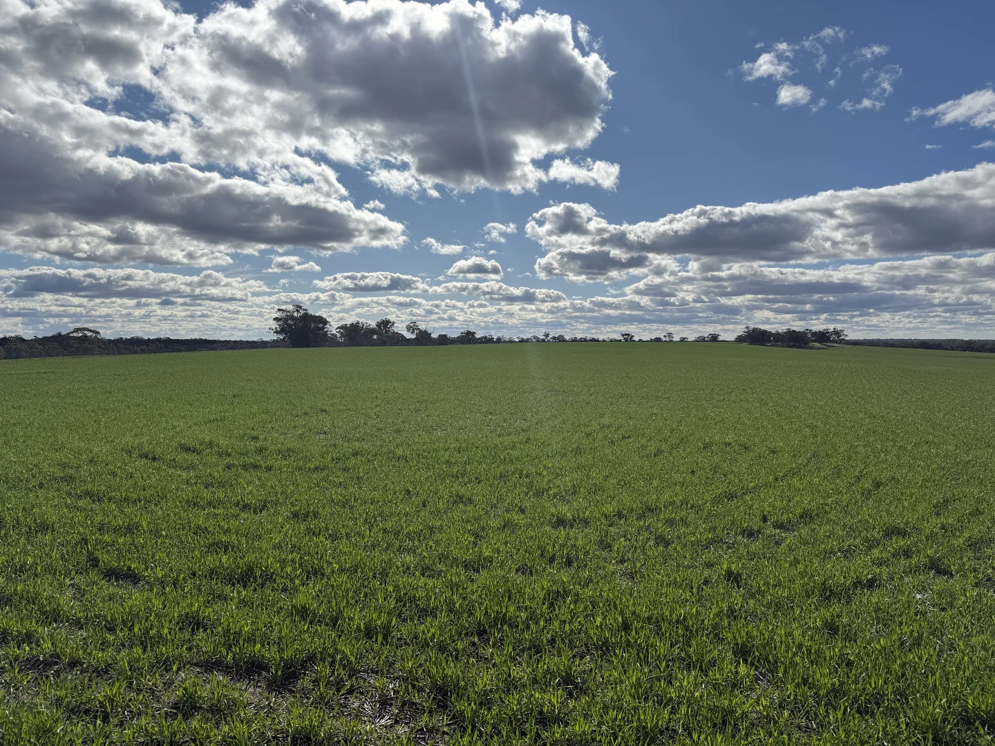 Additional image 11 of 1077 Horsham-Noradjuha Road, Lower Norton VIC 3401