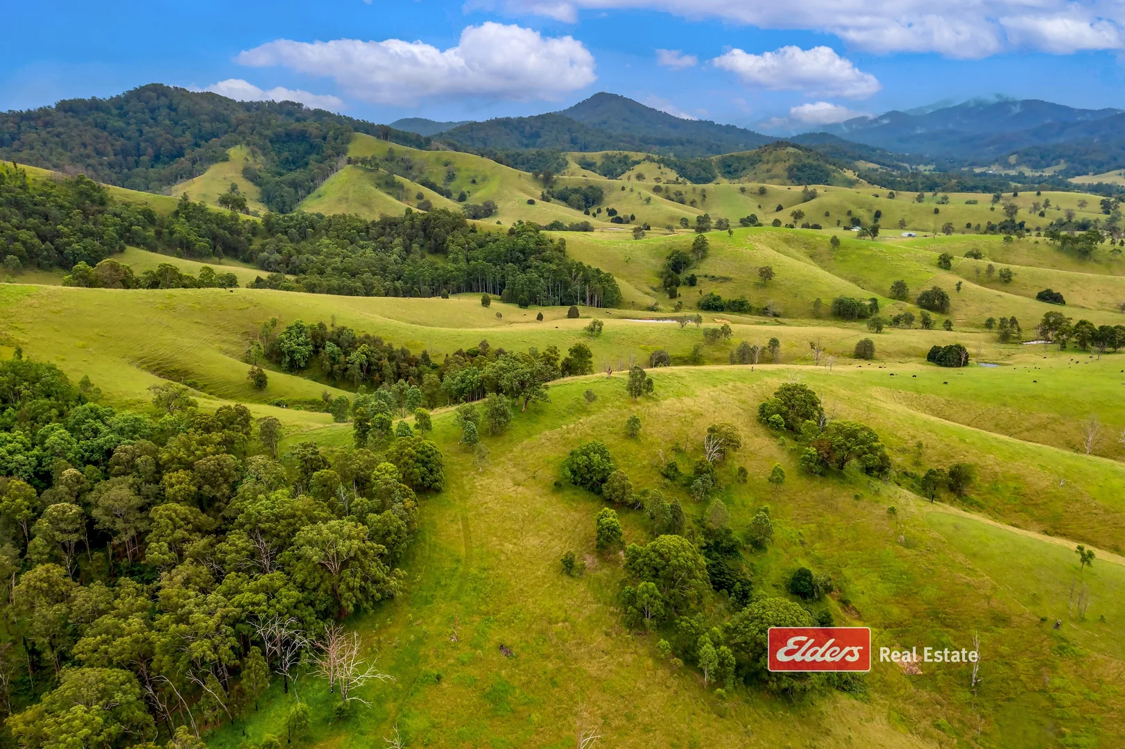 Additional image 14 of 2121 Salisbury Road, Salisbury via, Dungog NSW 2420