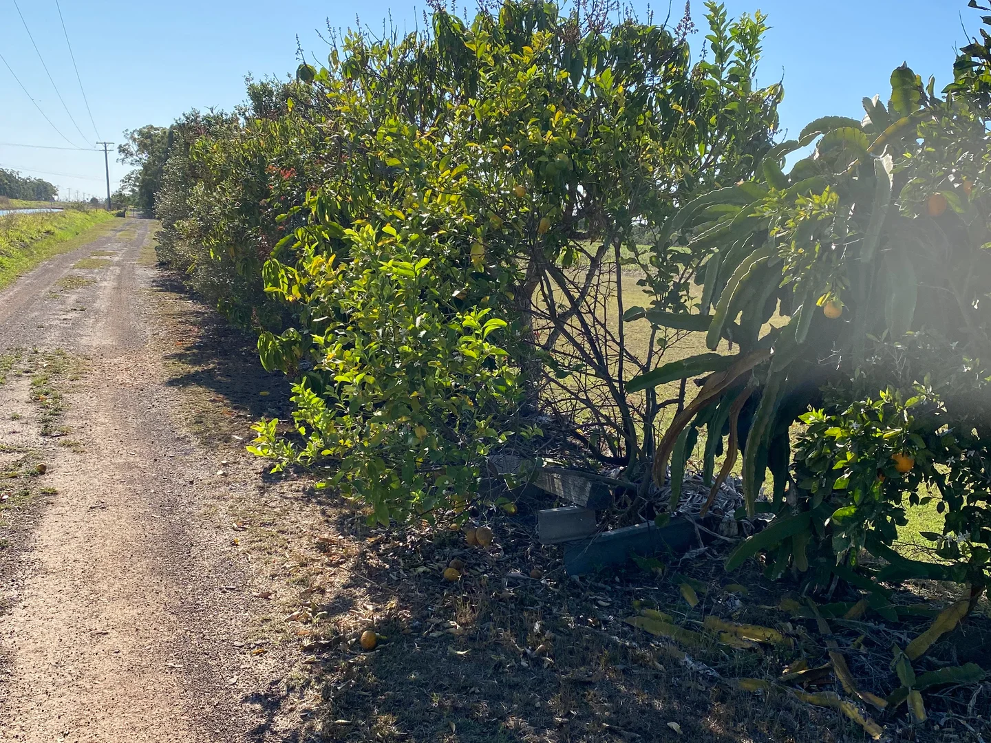 Additional image 12 of Alloway QLD 4670