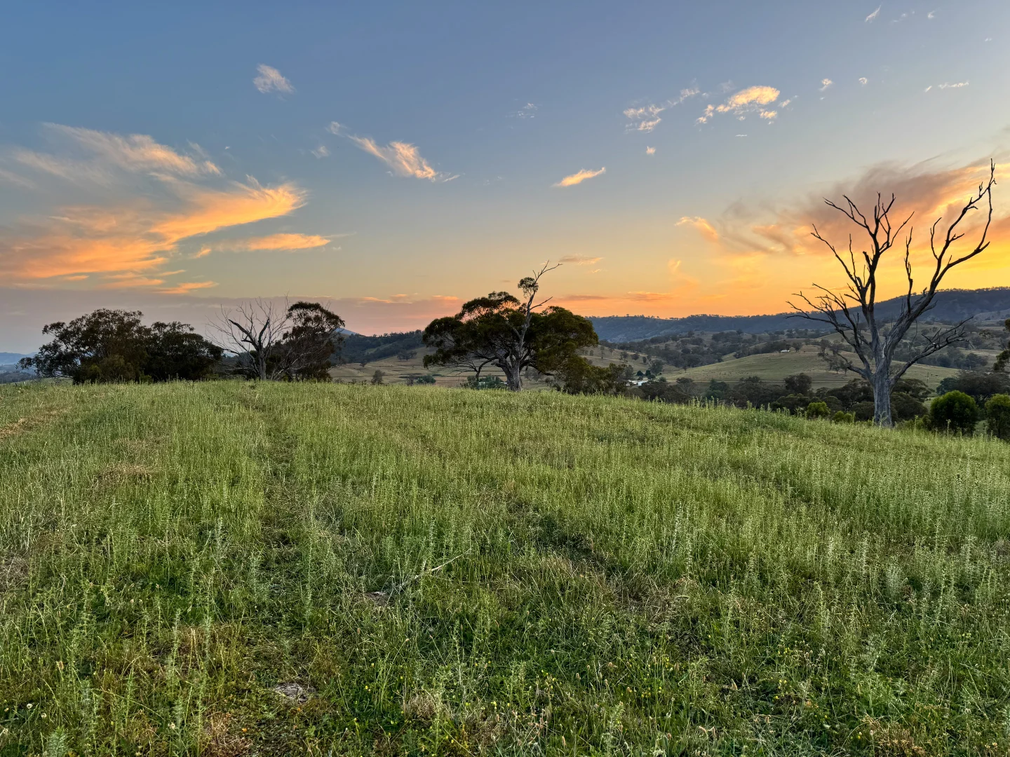 Additional image 13 of Lot 302 Timor Rd, Murrurundi NSW 2338