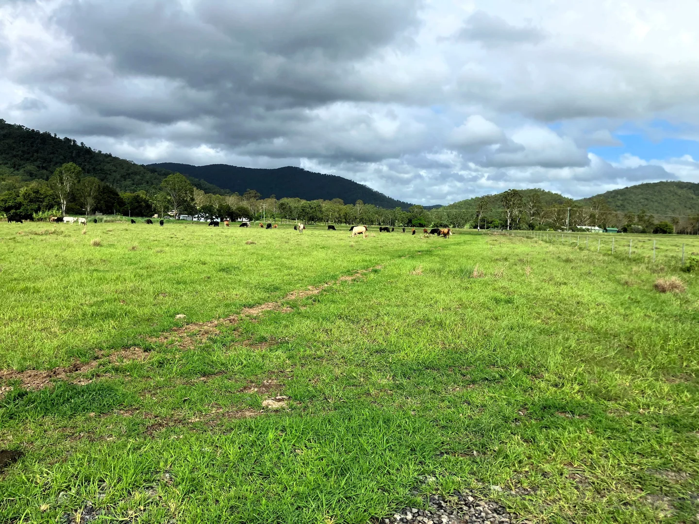 Additional image 22 of Mount Ossa QLD 4741