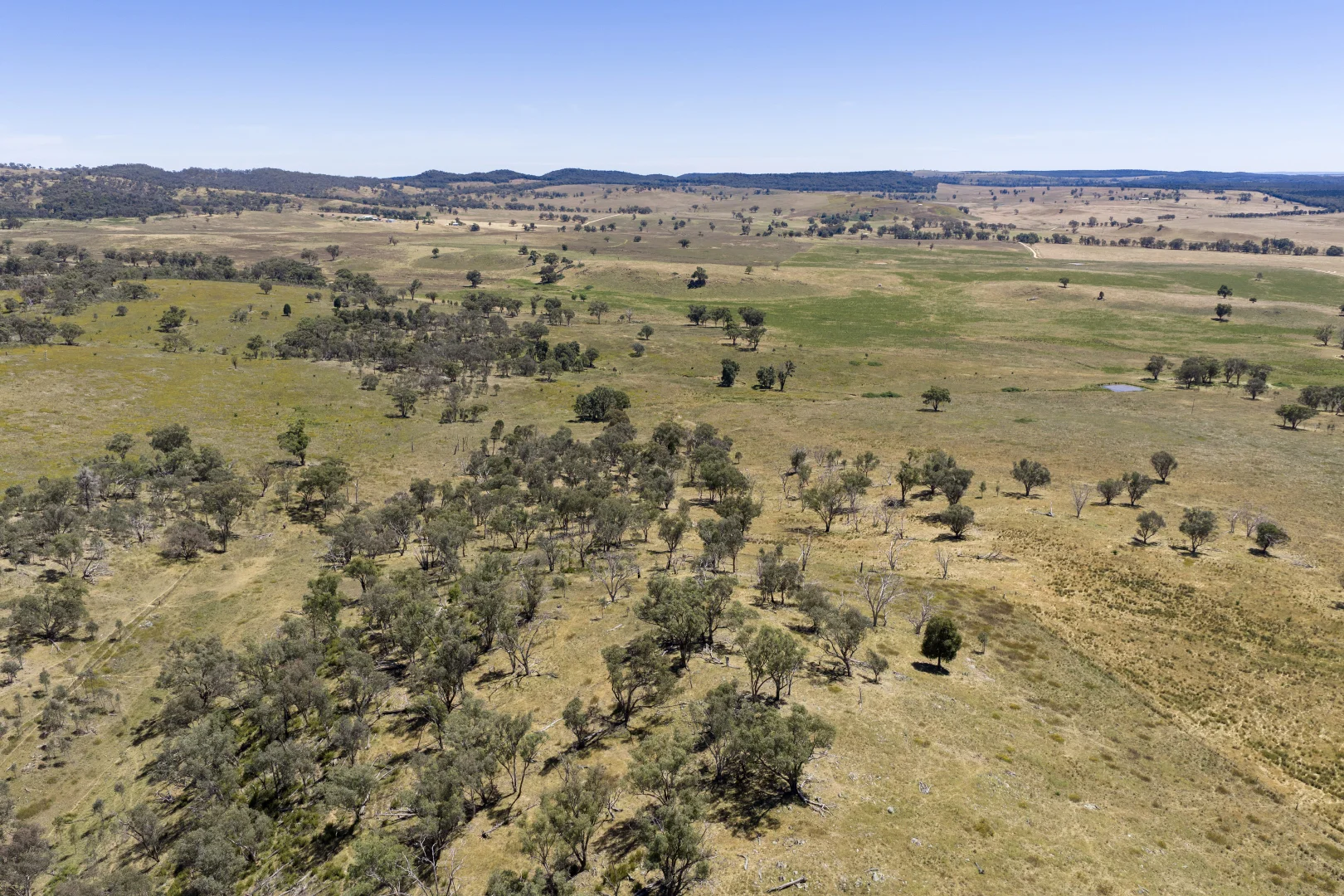 Additional image 22 of 499 Mebul Road, Gulgong NSW 2852