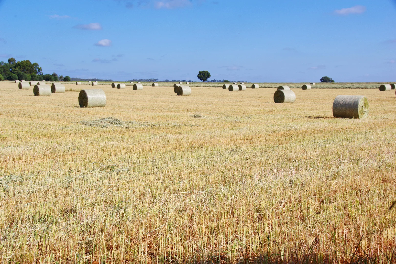 Additional image 2 of 1676 Willala Road, Boggabri NSW 2382