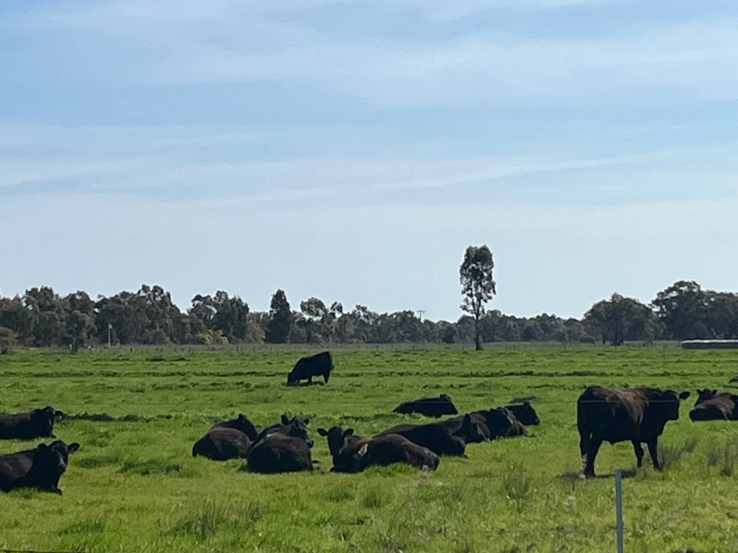 Additional image 16 of _ Restdown Road, Echuca West VIC 3564