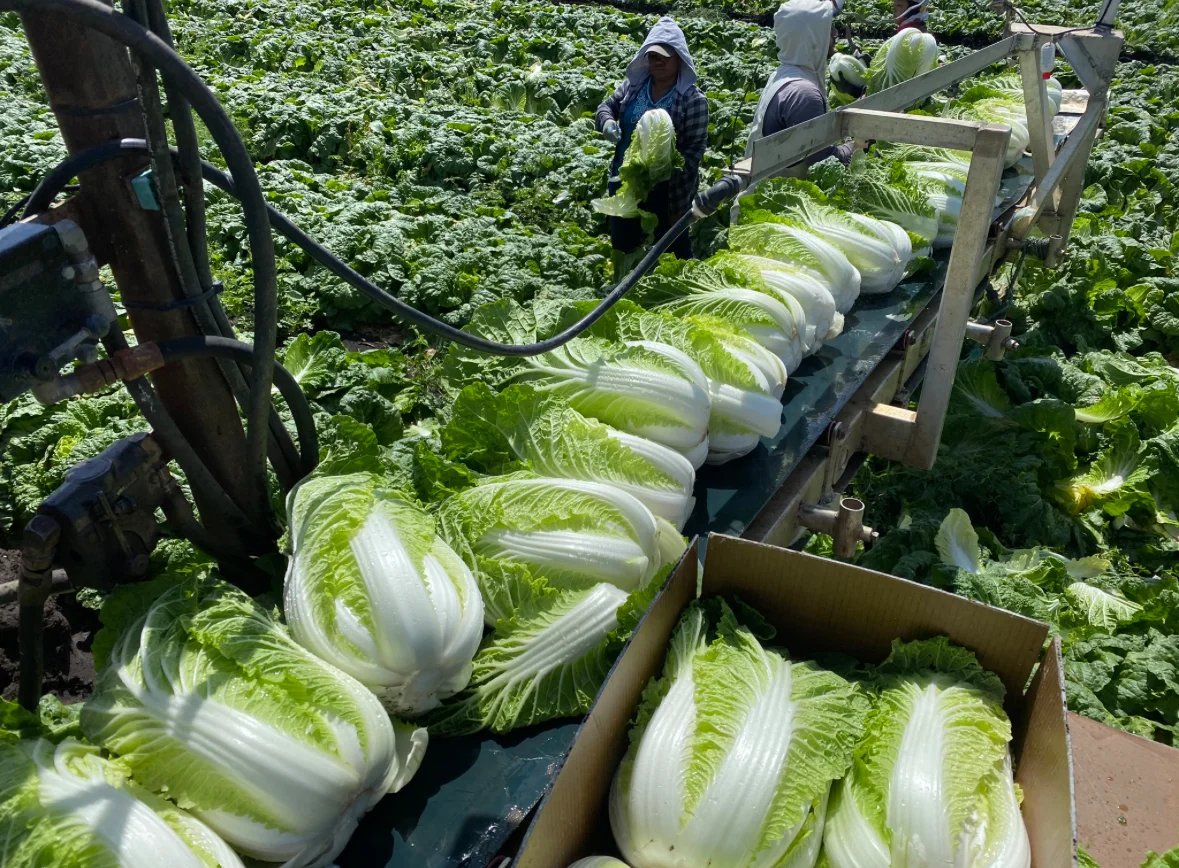 Additional image 18 of "Westview" 189 Toowoomba-Karara Road, Finnie QLD 4350