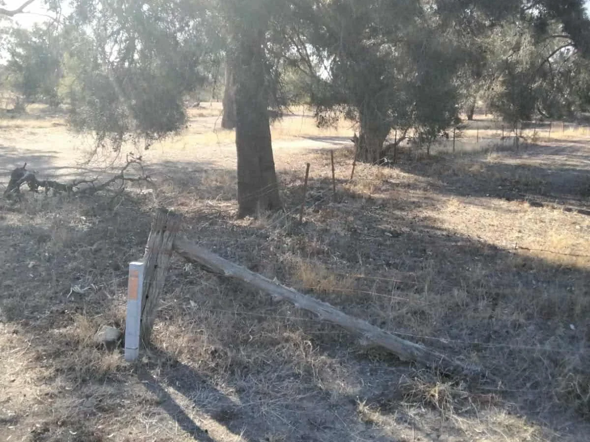 Additional image 3 of 3 Herbert Street, Collarenebri NSW 2833