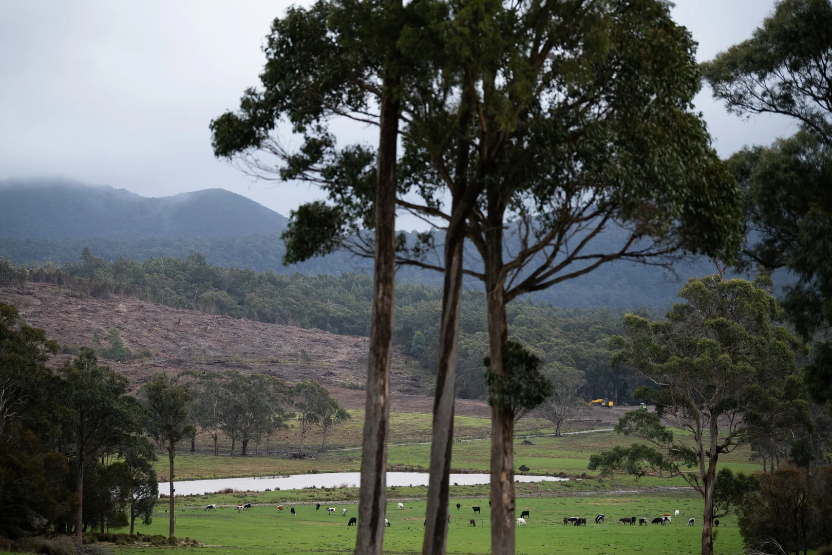 Additional image 28 of 29 Glengarry Road, Glengarry TAS 7275