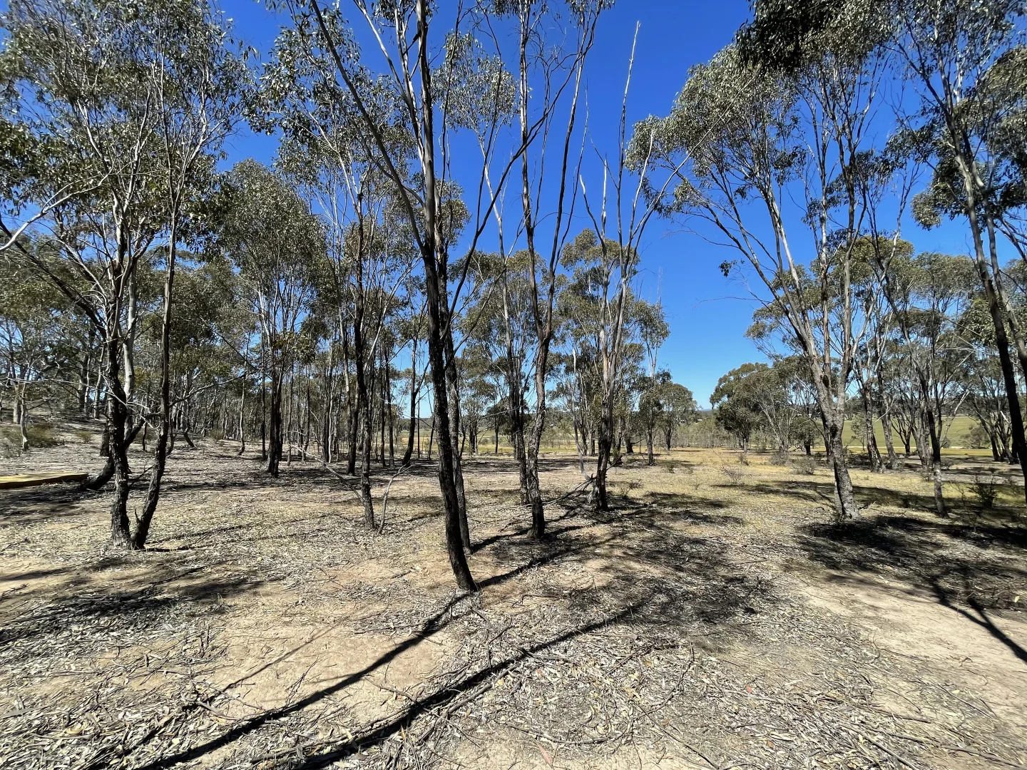 Additional image 14 of Allotment 7D Wedderburn Road, St Arnaud East VIC 3477