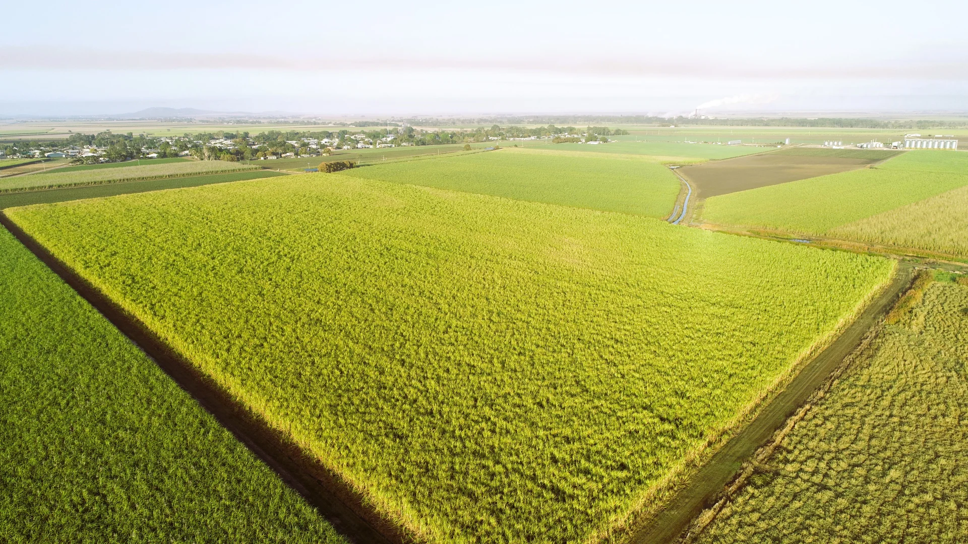 Additional image 3 of 20 Colevale Road, Brandon QLD 4808