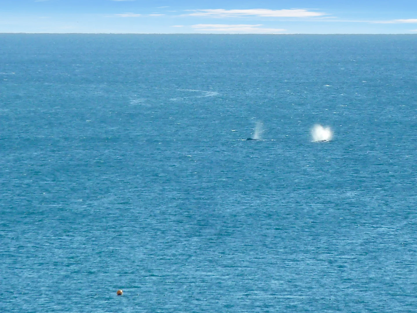 Additional image 19 of 5/260 Alexandra Pde, Alexandra Headland QLD 4572
