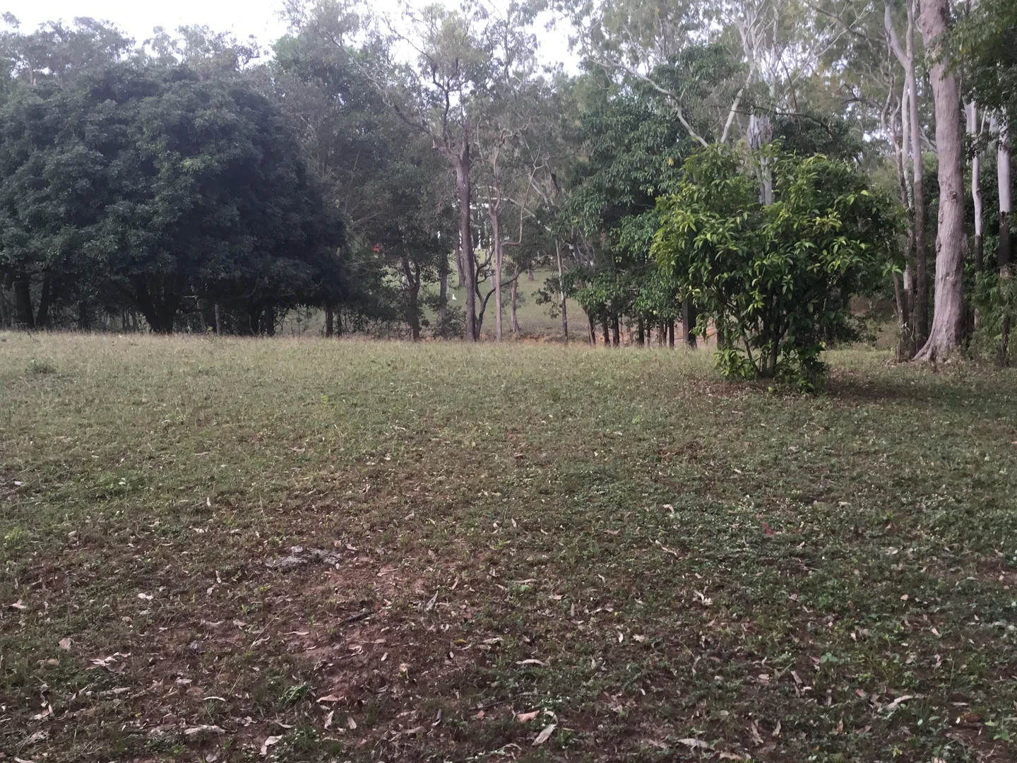 Additional image 25 of 39 Fryers Road, Hervey Range QLD 4817