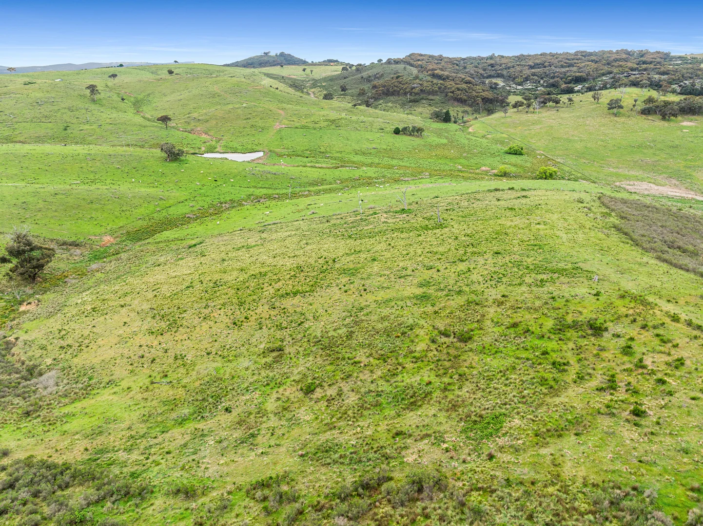 Additional image 20 of 517 White Rocks Road, Lewis Ponds NSW 2800