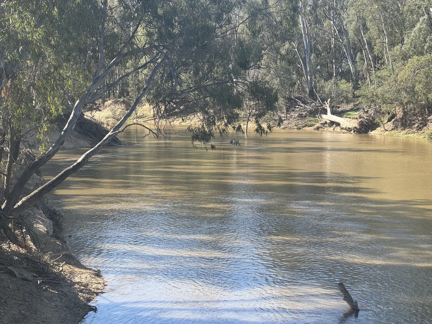 Additional image 35 of . Bangerang Road, Kanyapella VIC 3564