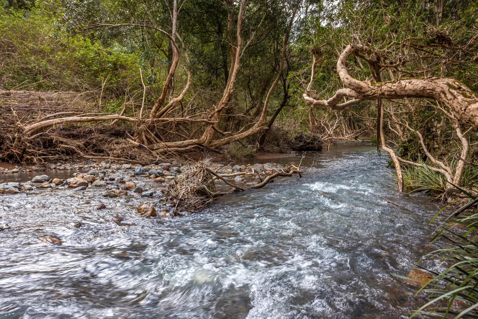Additional image 12 of 791 Little Run Road, Wherrol Flat NSW 2429