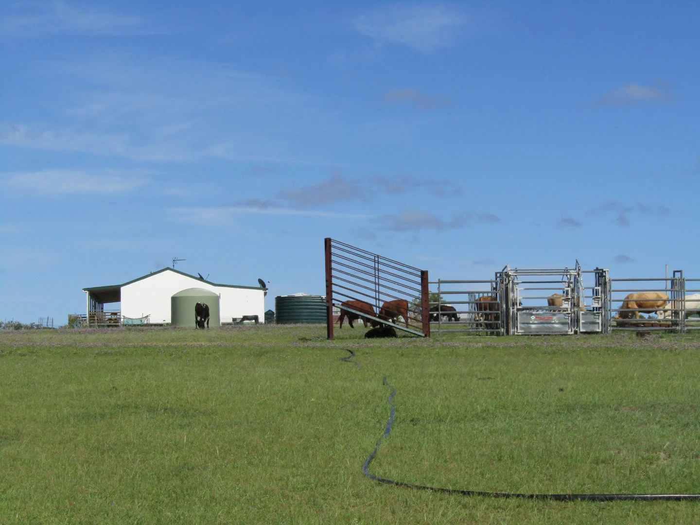 Additional image 15 of 1461 Atholwood Road, Bonshaw NSW 2361