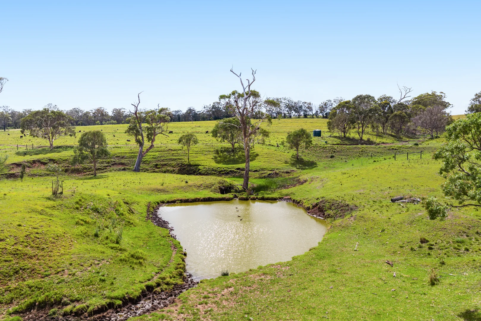 Additional image 22 of 138 Djuan Road, Crows Nest QLD 4355