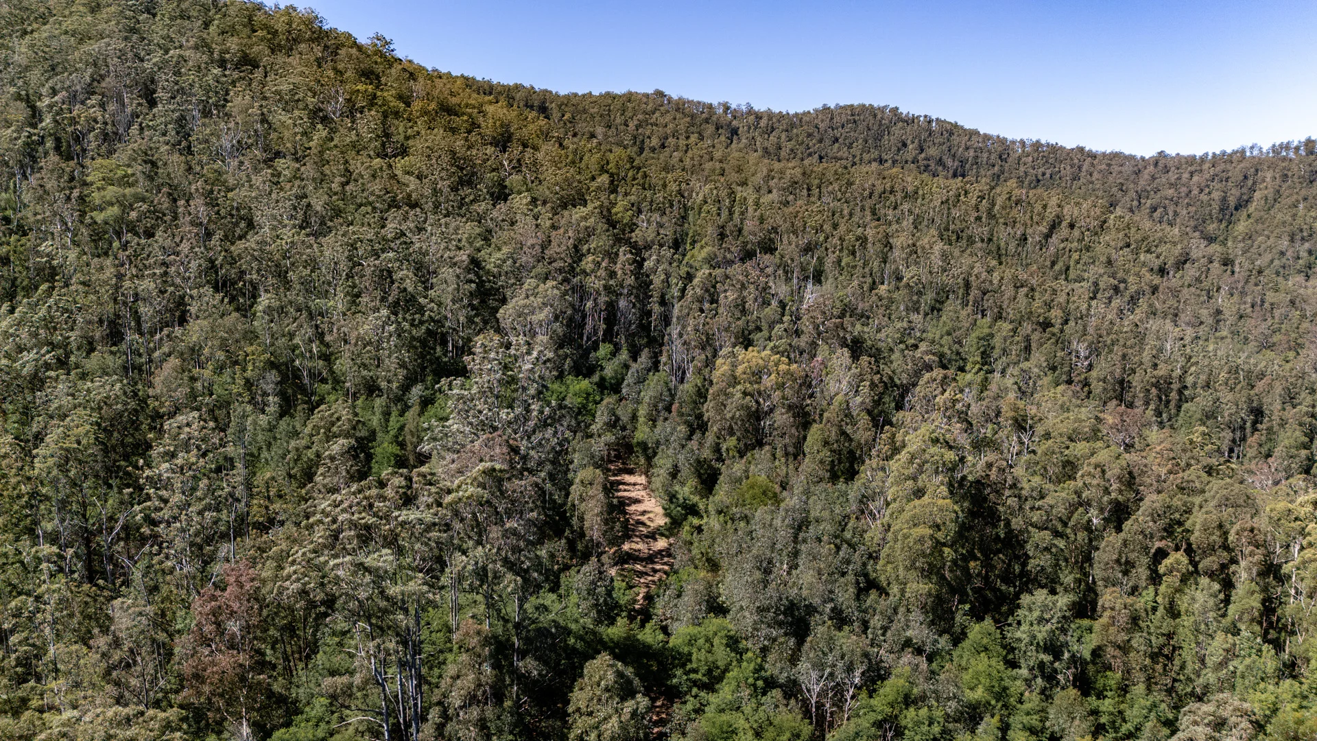 Additional image 4 of 3542 Nowendoc Road, Caffreys Flat NSW 2424