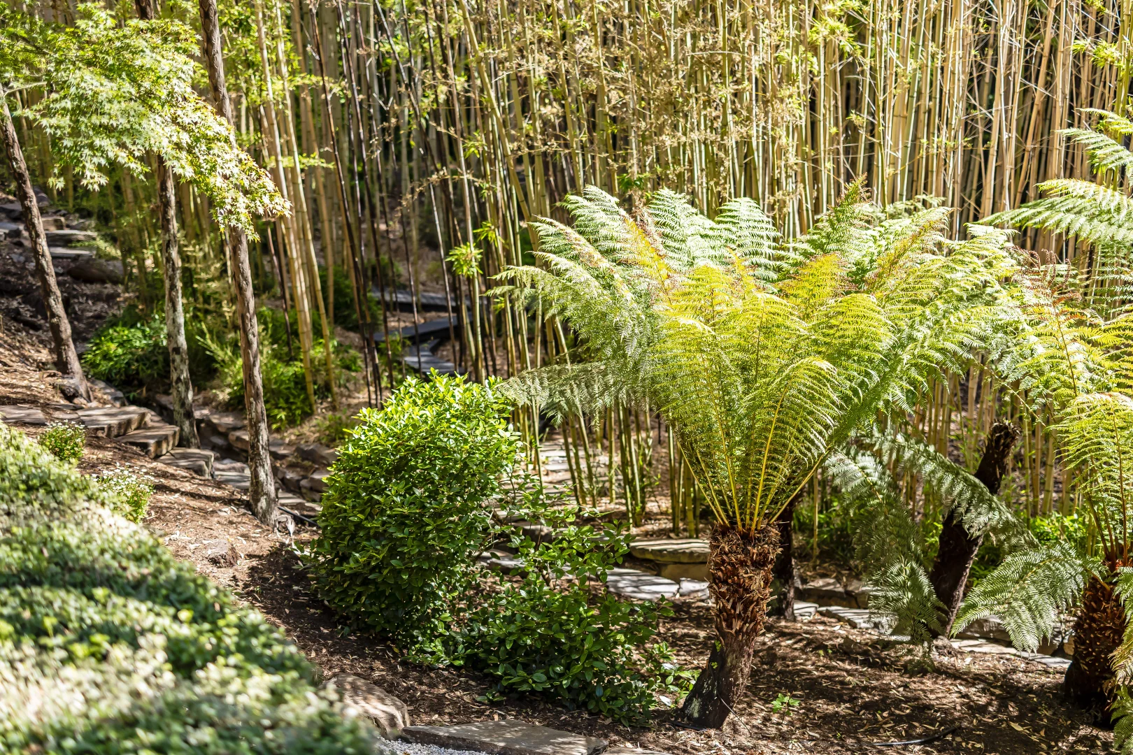 Additional image 33 of 15 Longwood Road, Stirling SA 5152