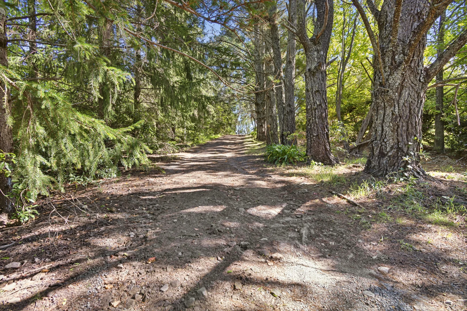 Additional image 5 of 174 Mountain Lagoon Road, Bilpin NSW 2758