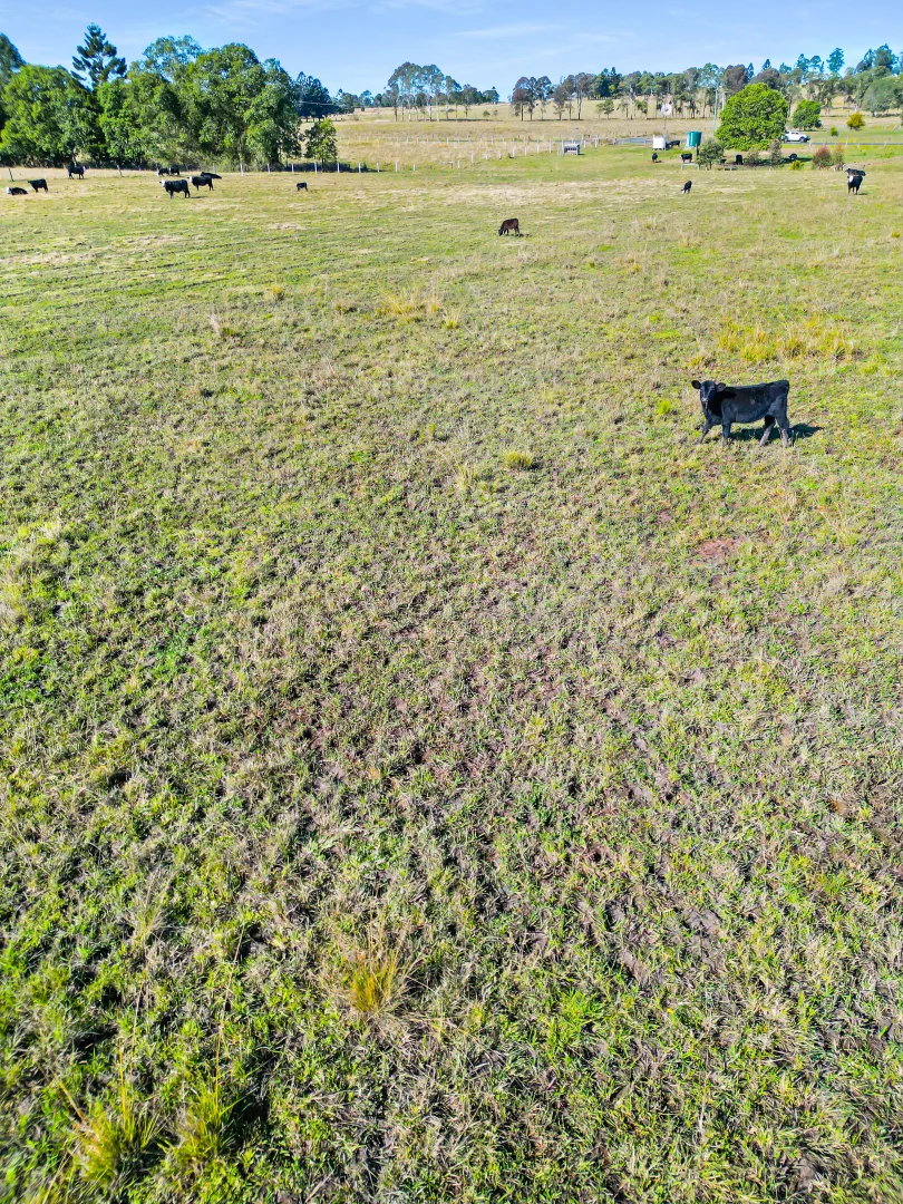 Additional image 6 of 344 Sextonville Road, Casino NSW 2470