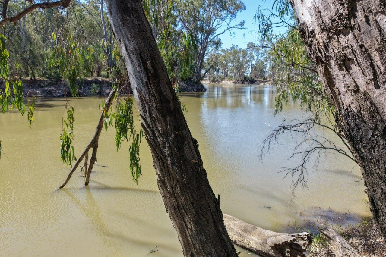 Additional image 5 of 19 Armstrong Drive, Barham NSW 2732