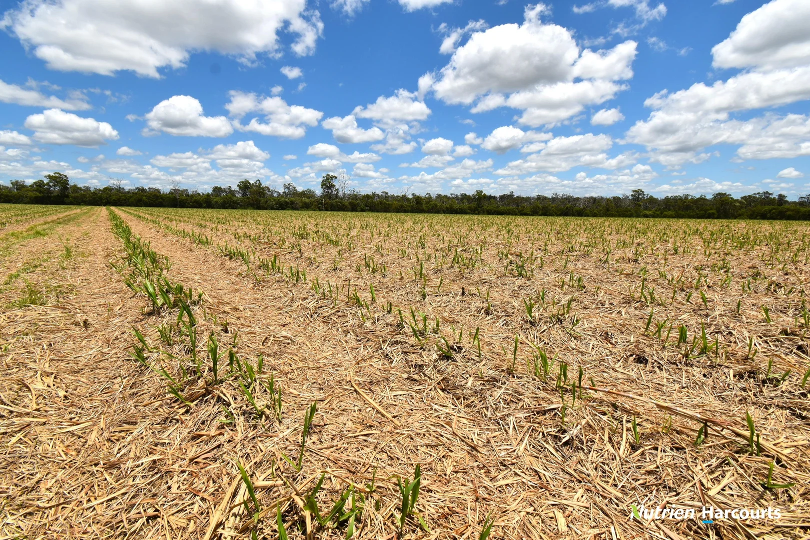 Additional image 20 of 3392 Childers Road, Gregory River QLD 4660