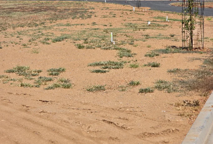 Additional image 3 of LACHLAN VIEW ESTATE, Condobolin NSW 2877
