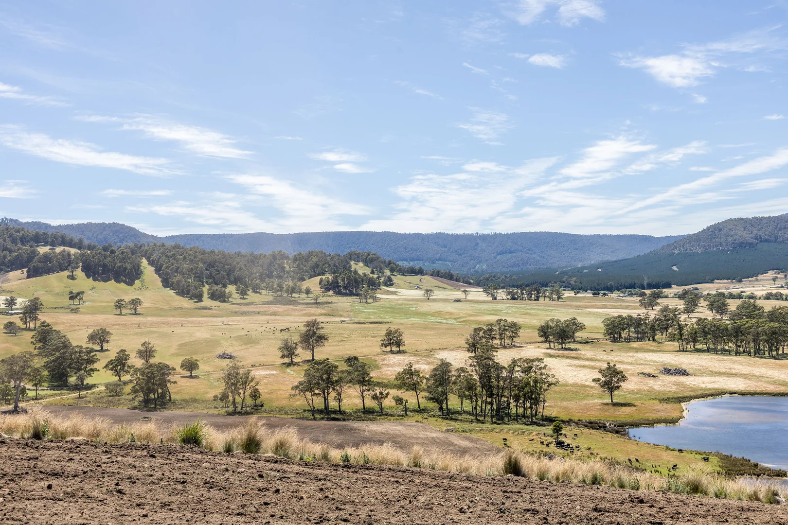 Additional image 29 of 3600 Blessington Road, Upper Blessington TAS 7212