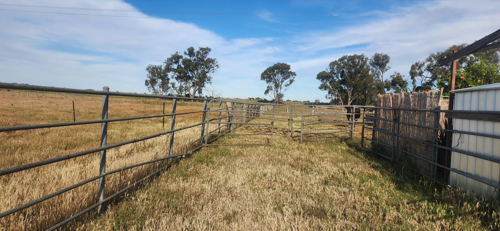 Additional image 4 of 1810 Pogue Road, Tatura VIC 3616