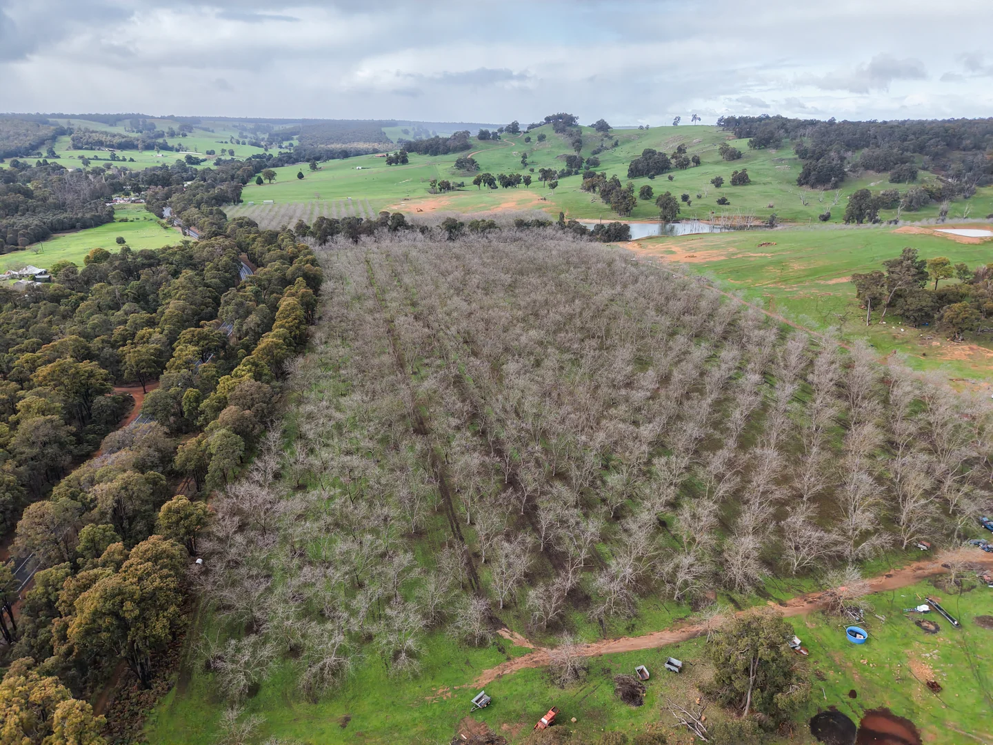 Additional image 6 of 43 Hearle Road, Mumballup WA 6225