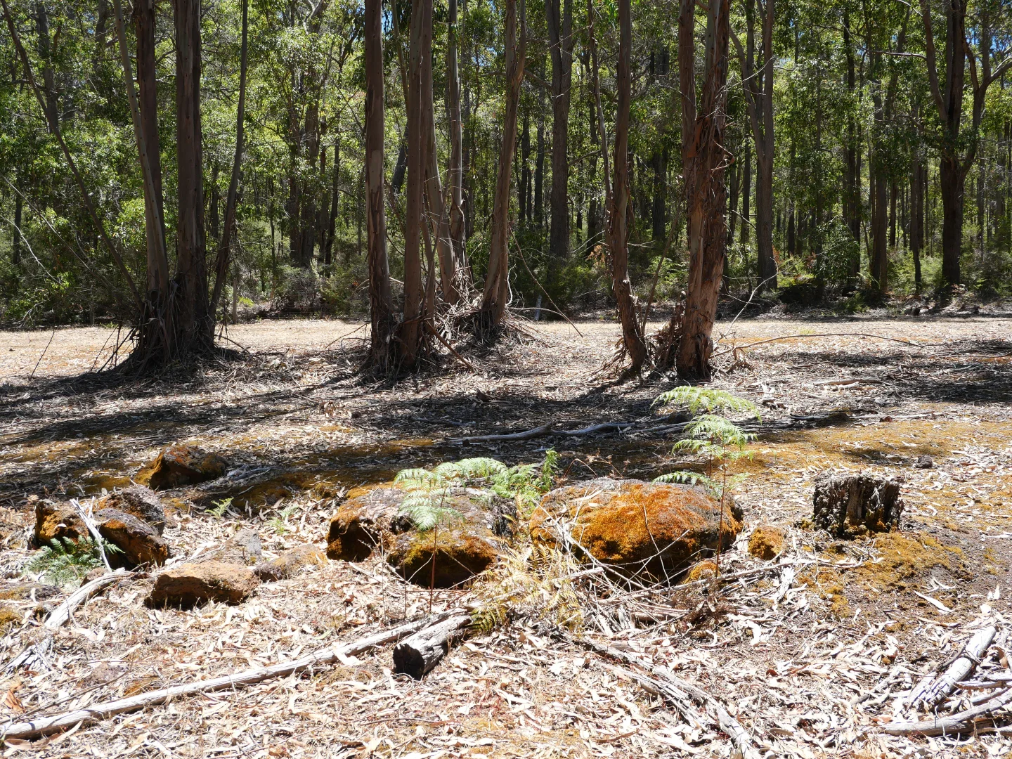 Additional image 13 of 61 Hayes Road, East Nannup WA 6275