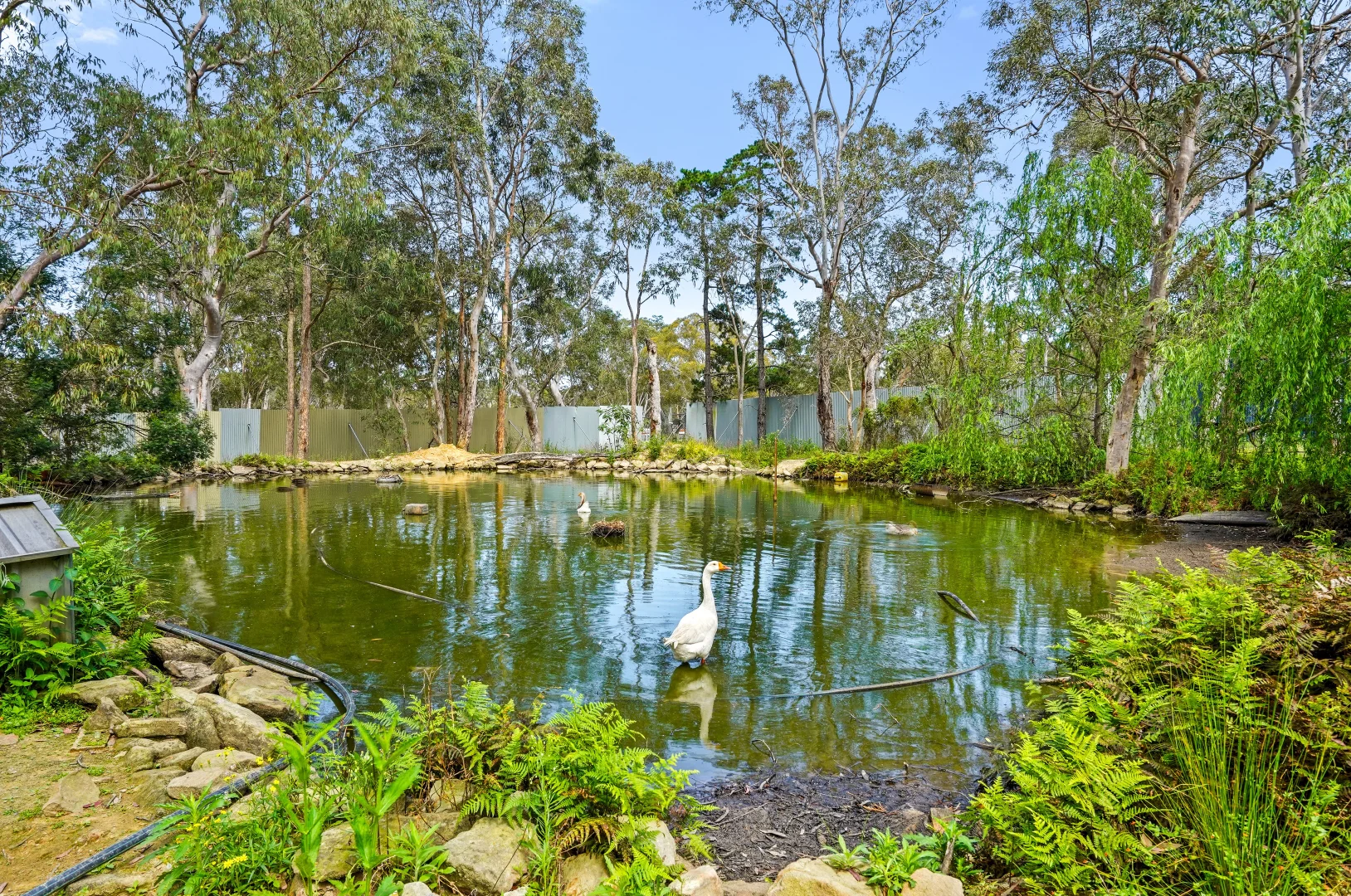 Additional image 3 of 180 Stannix Park Road, Wilberforce NSW 2756