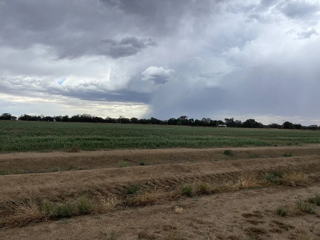 Additional image 22 of 'Kalawar' 1822 Pretty Pine Road, Morago NSW 2710