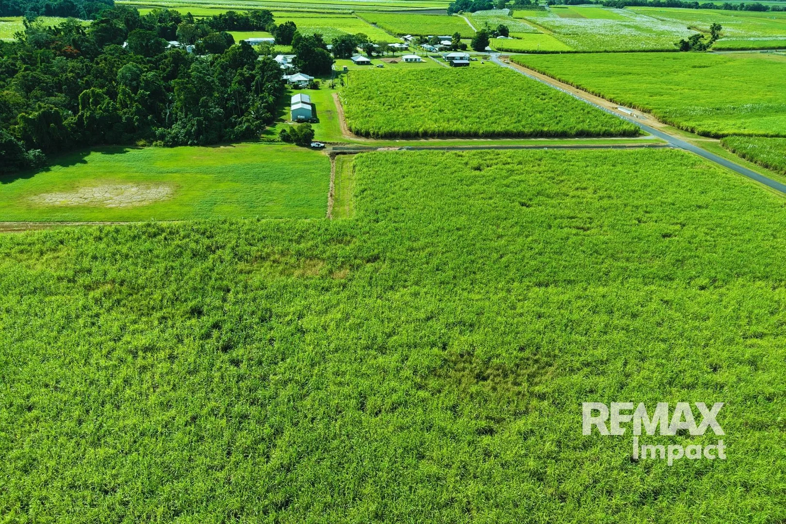 Additional image 6 of 142 Tati Road, Miallo QLD 4873