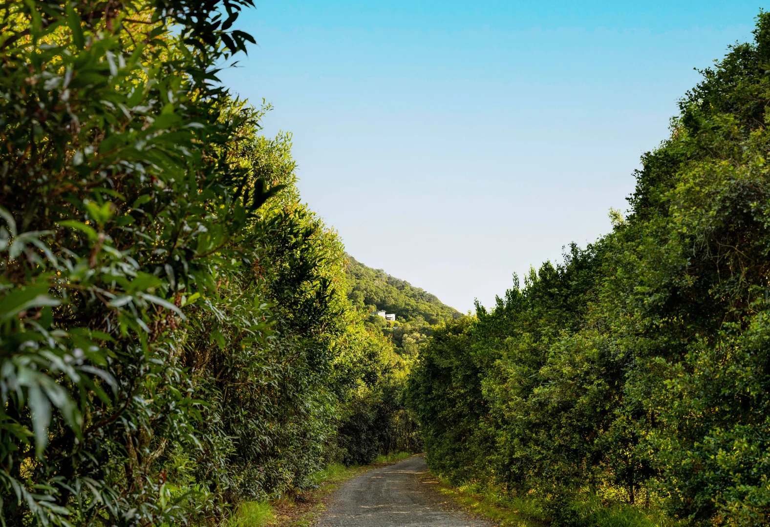 Additional image 7 of 52 Binalong Road, Pinbarren QLD 4568