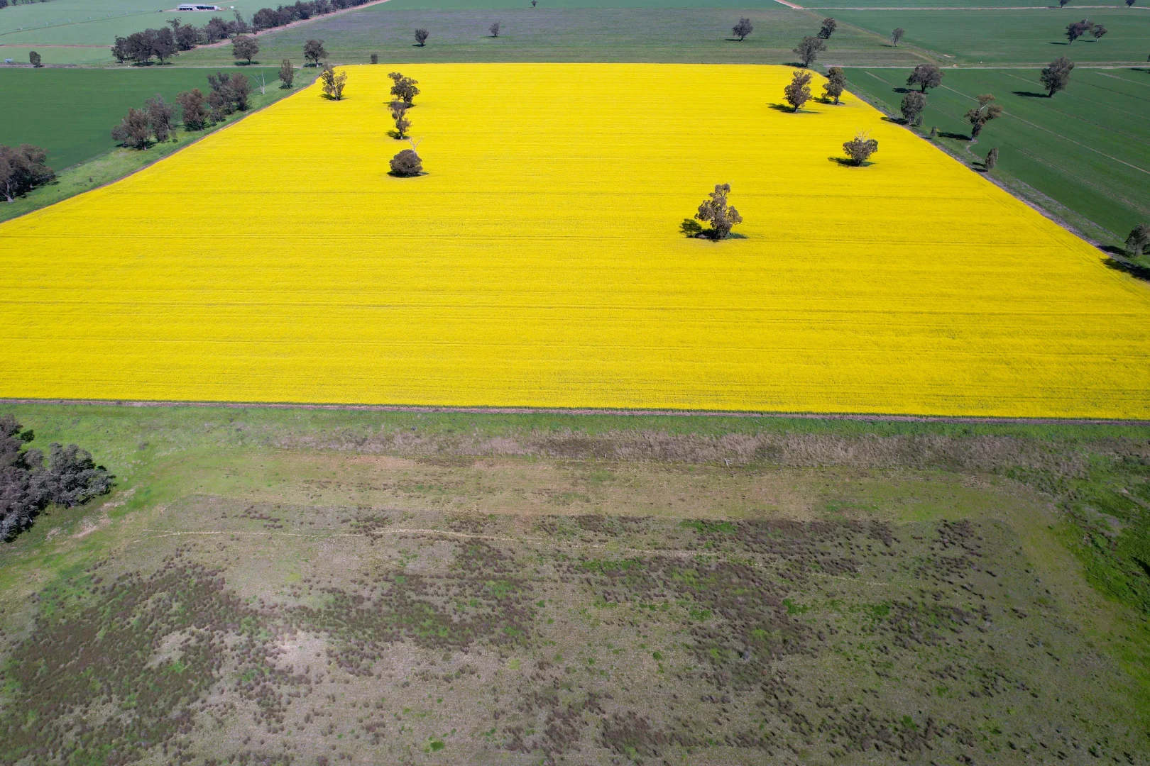 Additional image 12 of "Allandale" 7861 Lachlan Valley Way, Forbes NSW 2871