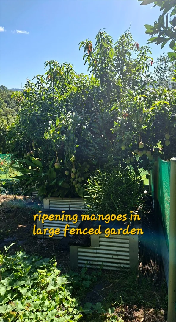 Additional image 27 of 32/265 Martin Road, Larnook NSW 2480