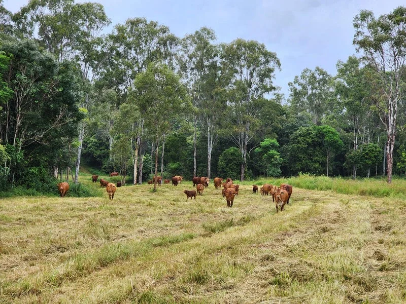 Lot 3 Kanigan Road, Kanigan QLD 4570