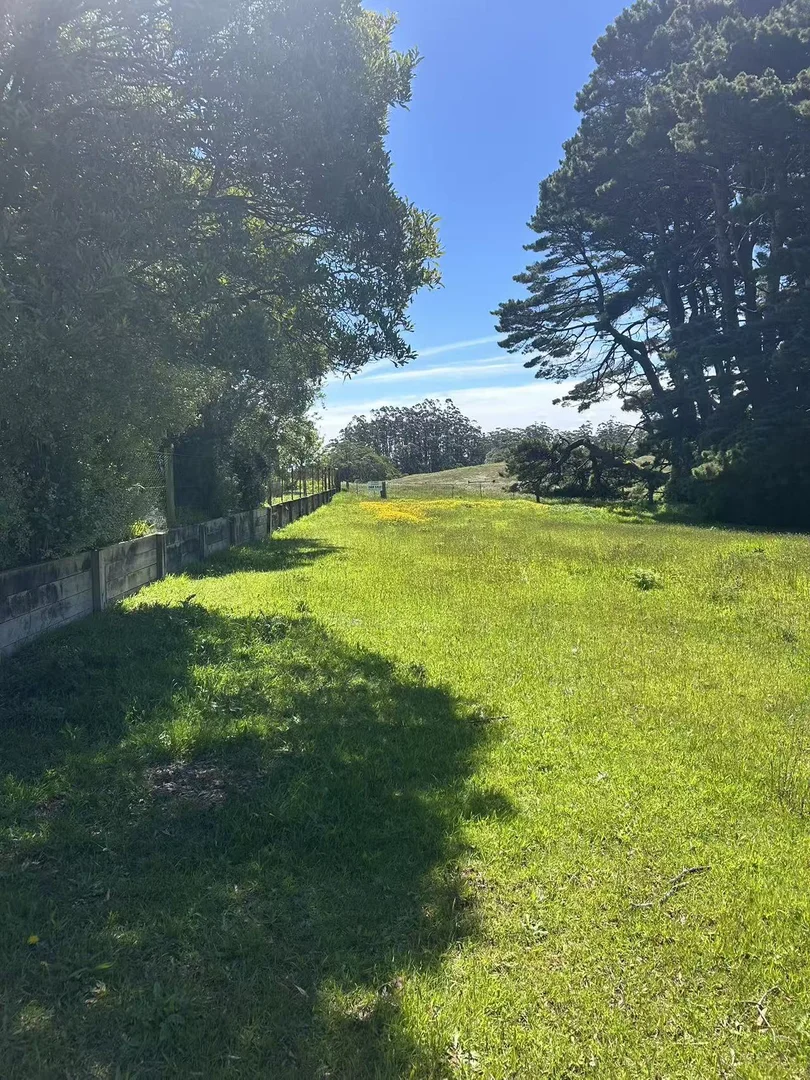 Additional image 5 of 18A Great Ocean Road, Lavers Hill VIC 3238